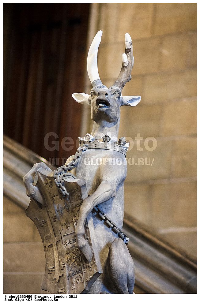 ������, ������, 2011, �����������, ����� ������, ��������, �����, 