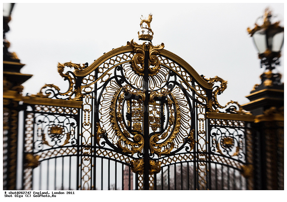 ������, ������, 2011, �����������, ����� ������, ��������, �����, ������