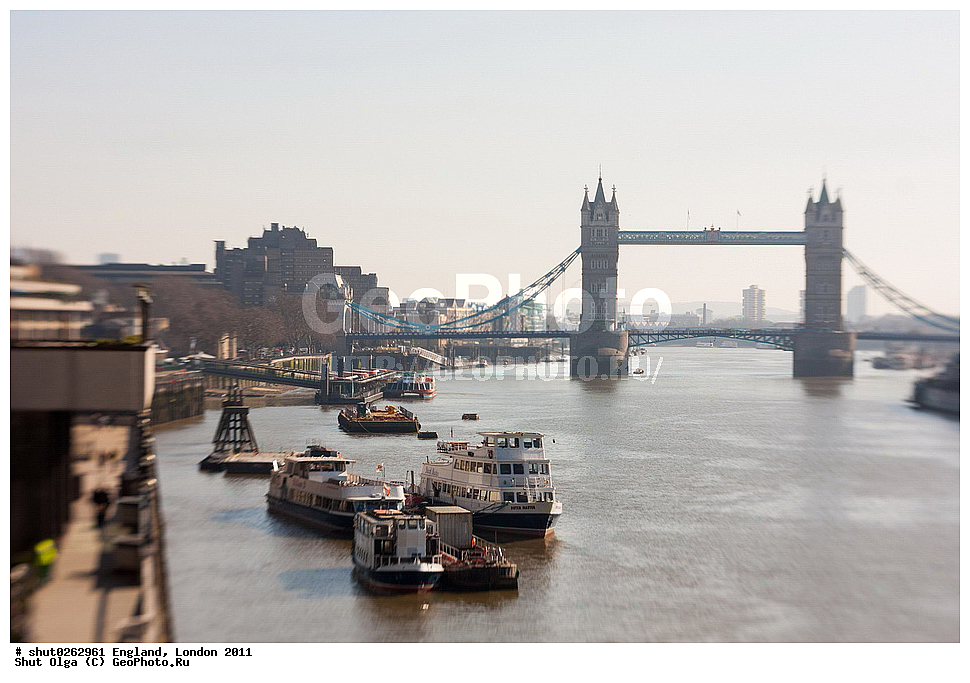 ������, ������, 2011, �����������, ����� ������, ��������, ��������, �����, �������, ����, ��������� ����