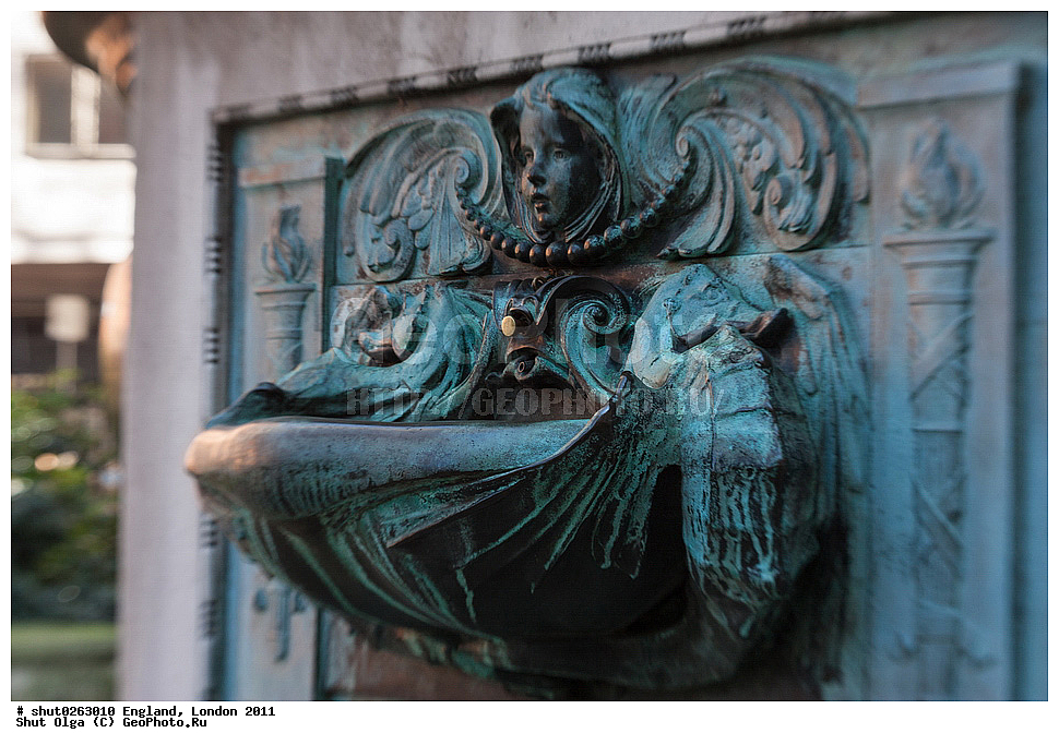 ������, ������, 2011, �����������, ����� ������, ��������, ��������, ���, ����