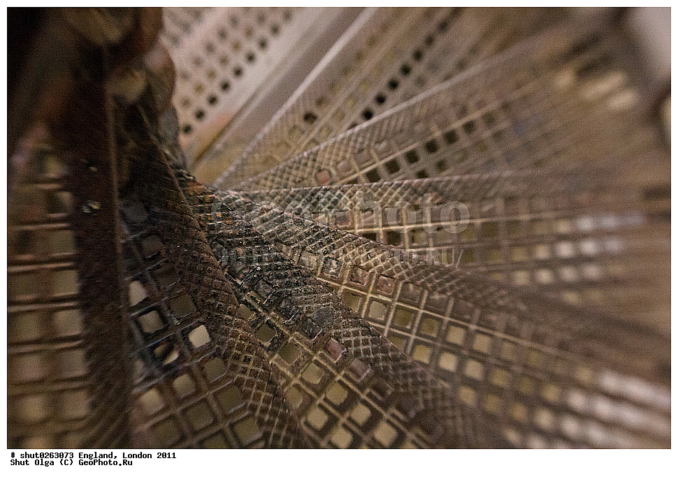 ������, ������, 2011, �����������, ����� ������, ��������, ��������, ��������, �������