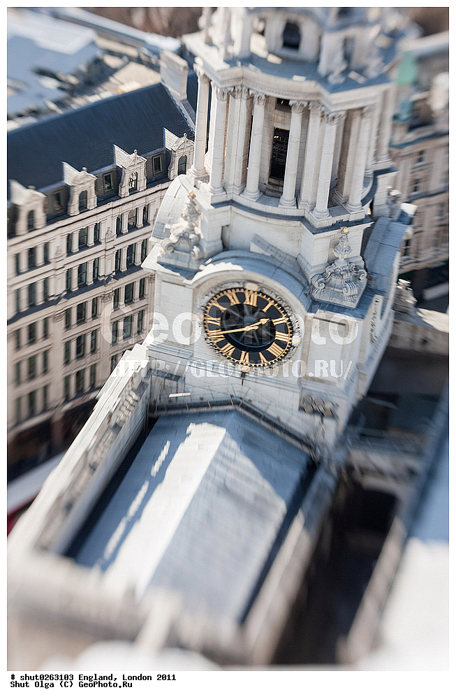 ������, ������, 2011, �����������, ����� ������, ��������, ��������, ����