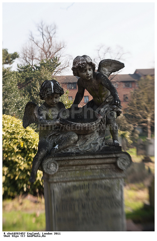 ������, ������, 2011, �����������, ����� ������, ��������, ��������, ��������, ��������, ������, ������������, ������