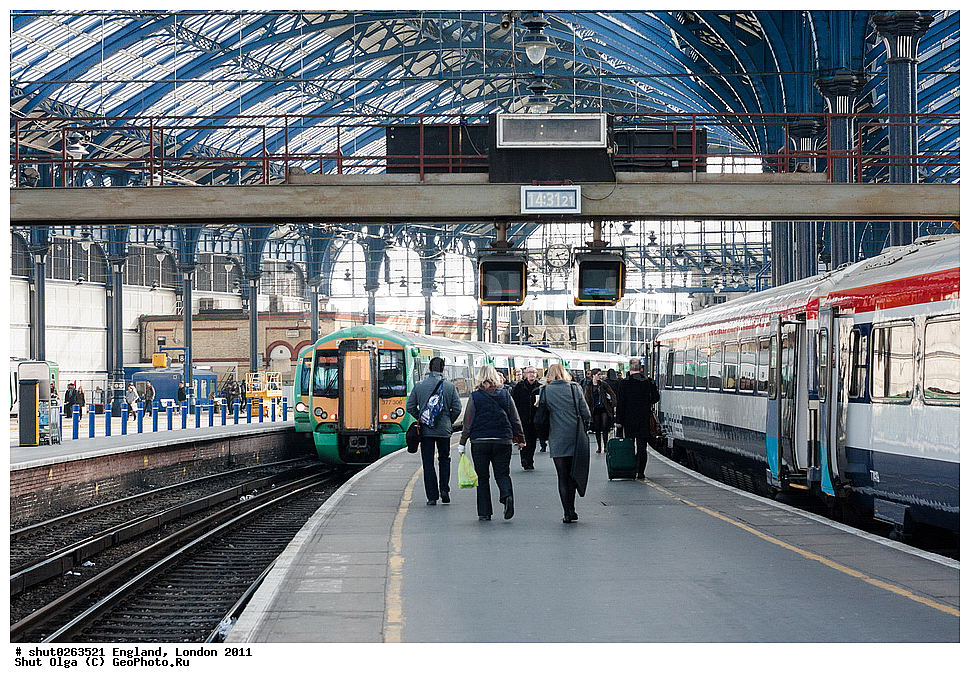 ������, ������, 2011, �����������, ����� ������, ��������, ������, �������, �����, �����, ���������