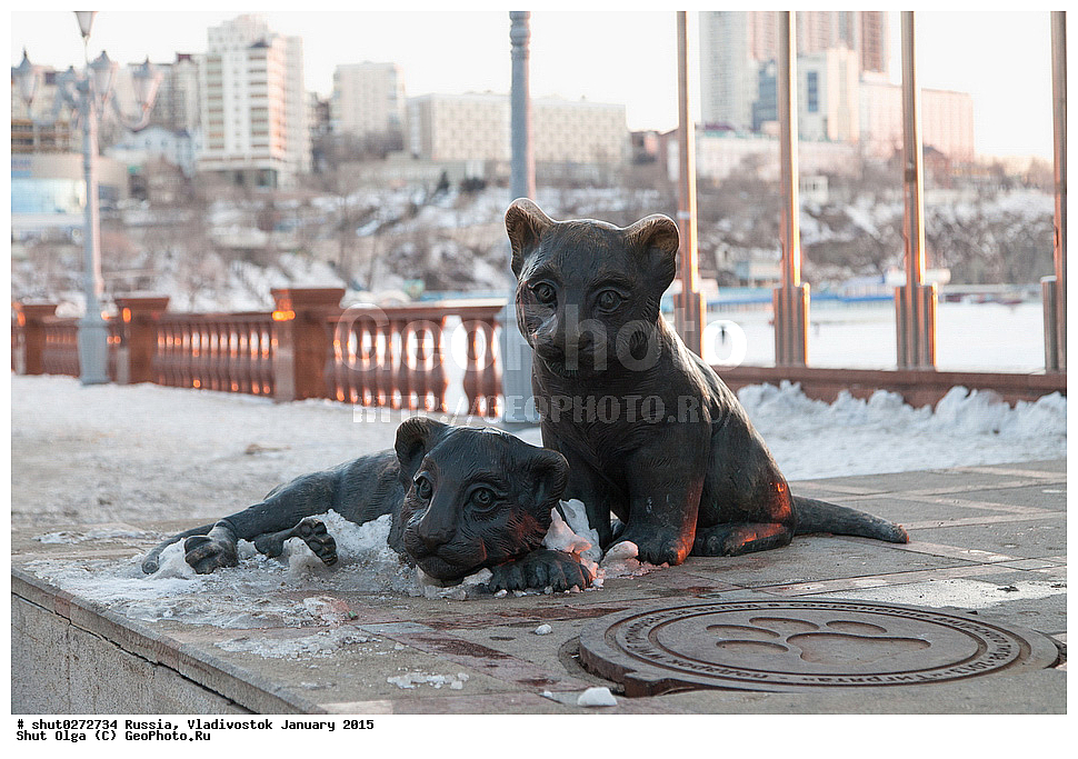 ������, �����������, ������, ����, 2015, �����������, ��������, ���������� ������, ����������, ����, ����� ������