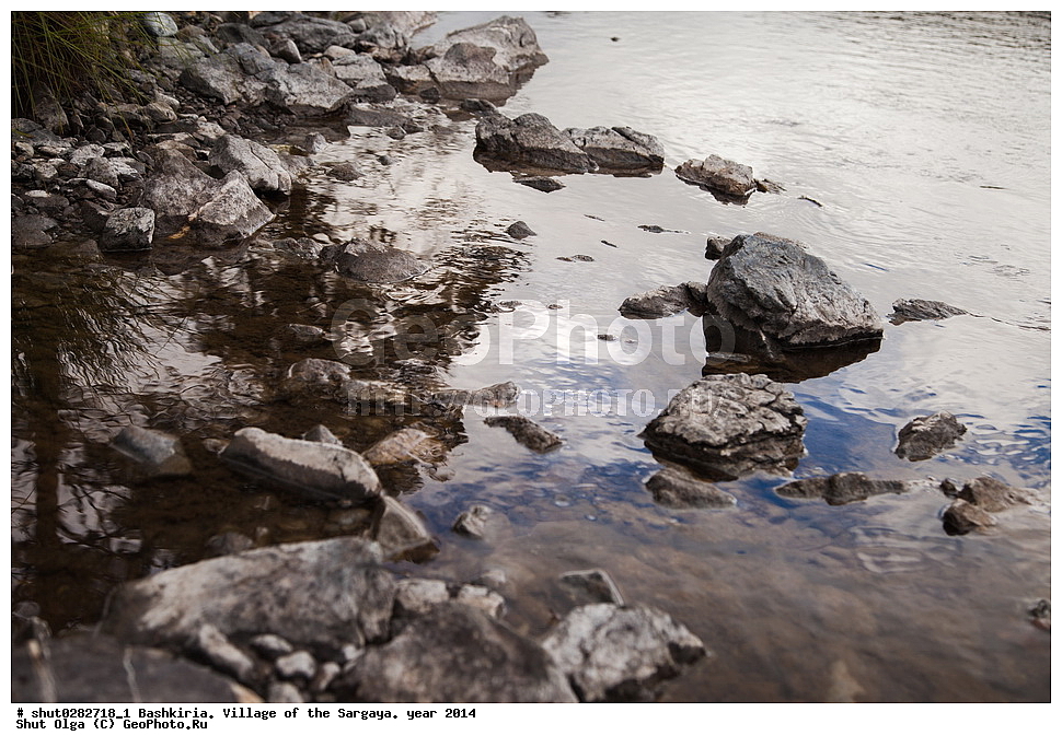 ��������, ������, �������, ������, ������������, ���������� �����, 2014 ���, ����, ������, �����