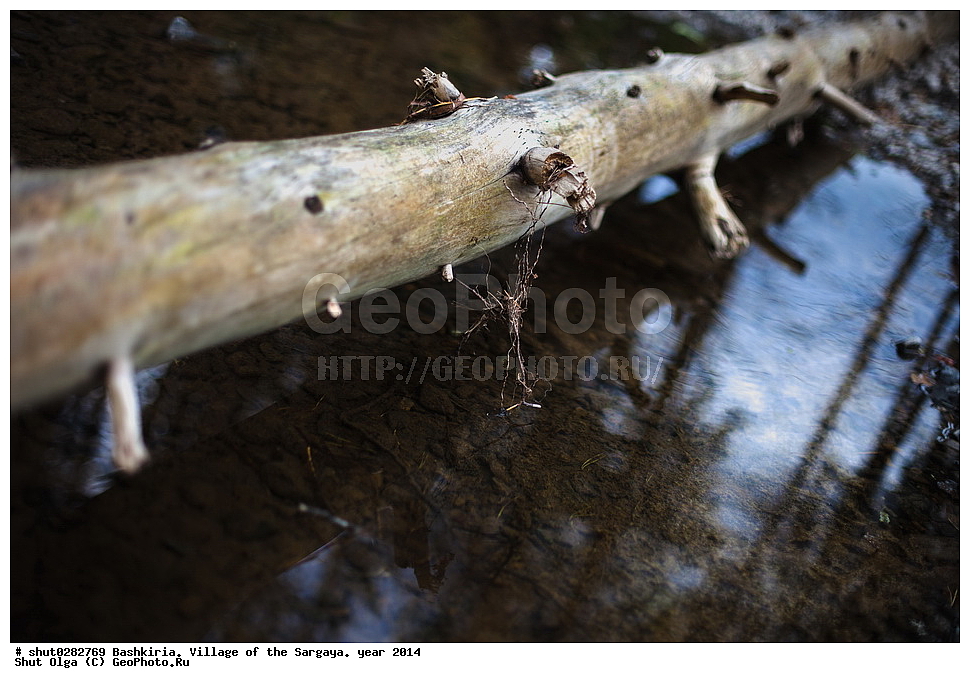 ��������, ������, �������, ������, ������������, ���������� �����, 2014 ���, ����, ������