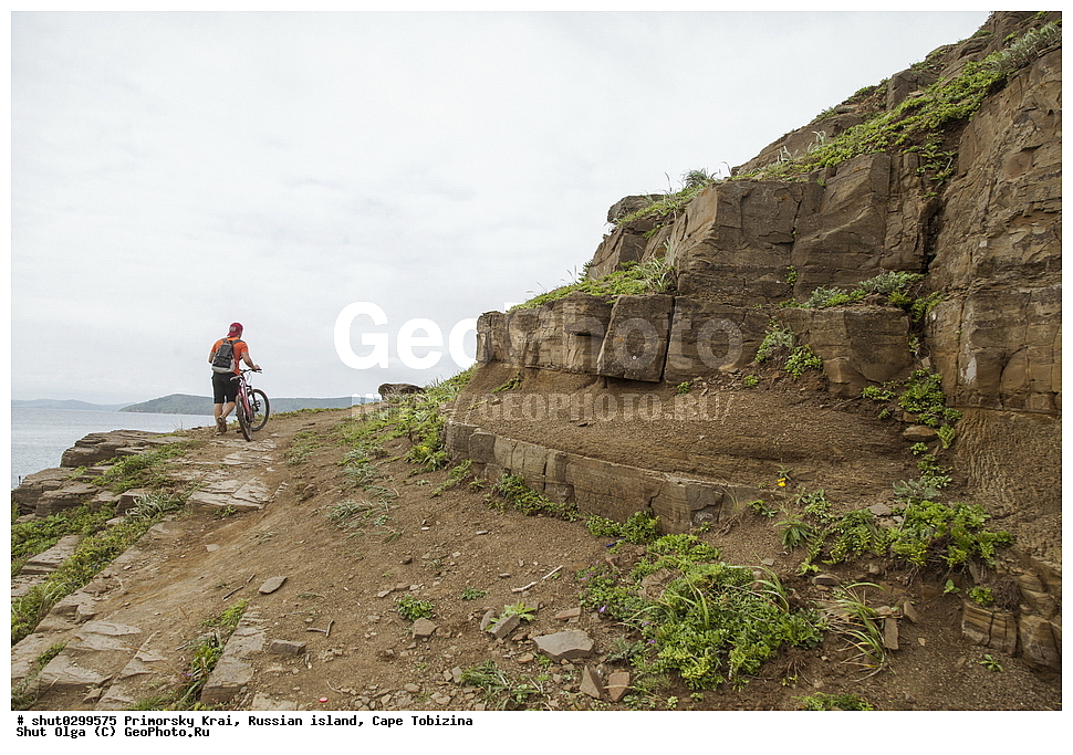 ���������� ����, ������, �������, ���, ��������, ������, �����, �����, �����, �������