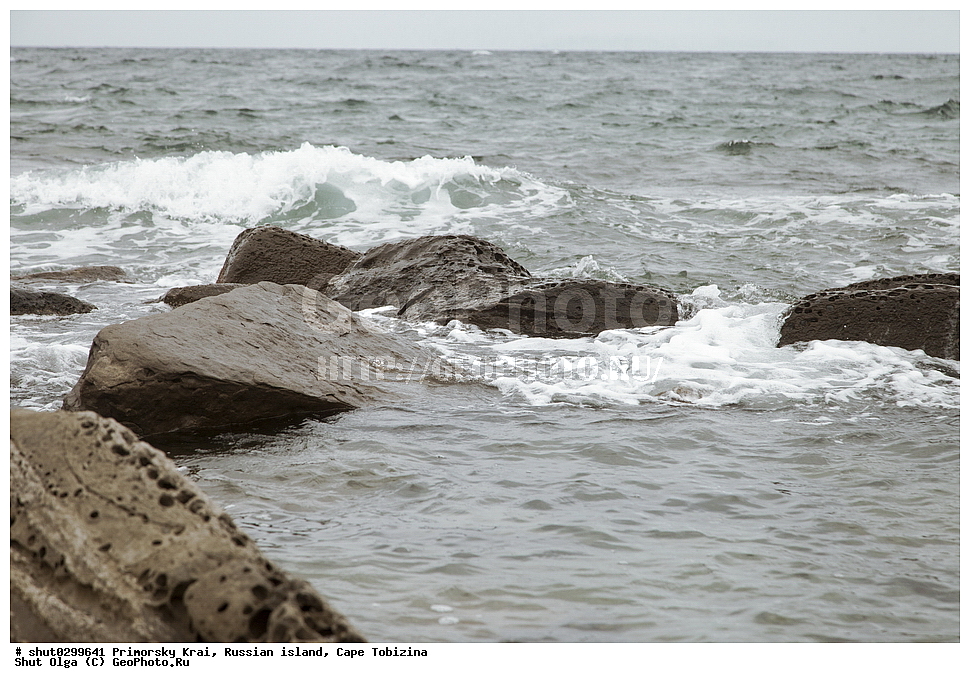 ���������� ����, ������, �������, ���, ��������, ������, ����, �����