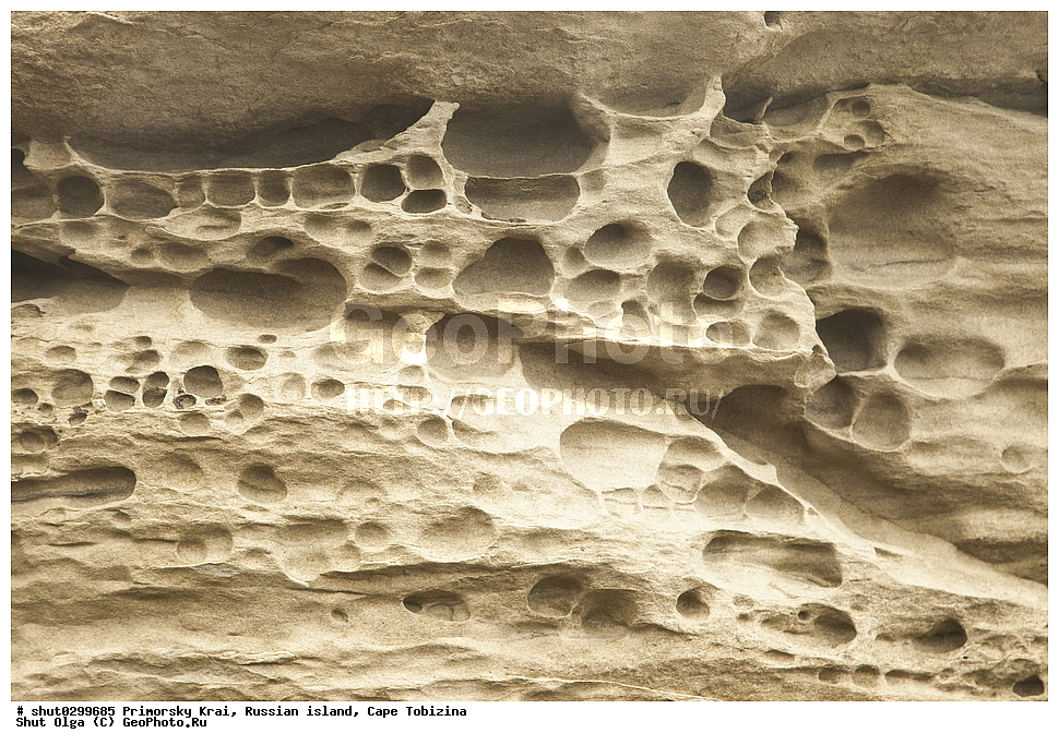 ���������� ����, ������, �������, ���, ��������, ������, ������, ����, �������� ������, ����������