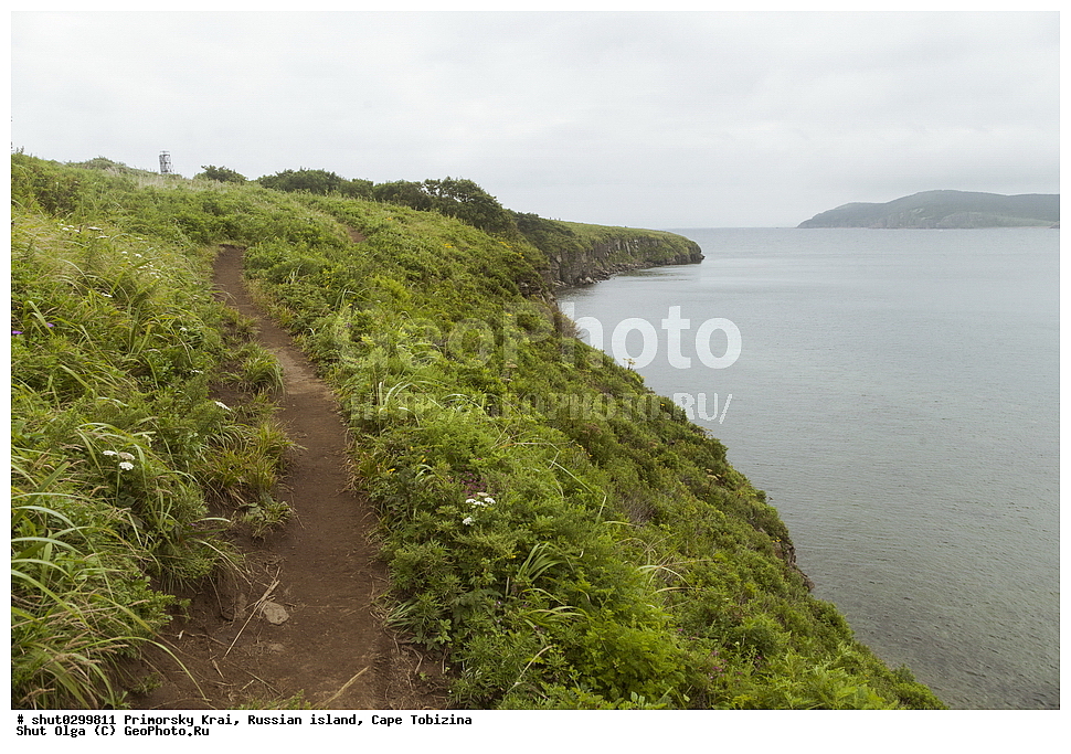 ���������� ����, ������, �������, ���, ��������, ������, ����, �����, �����, ����, �����, ������, �����, ����������