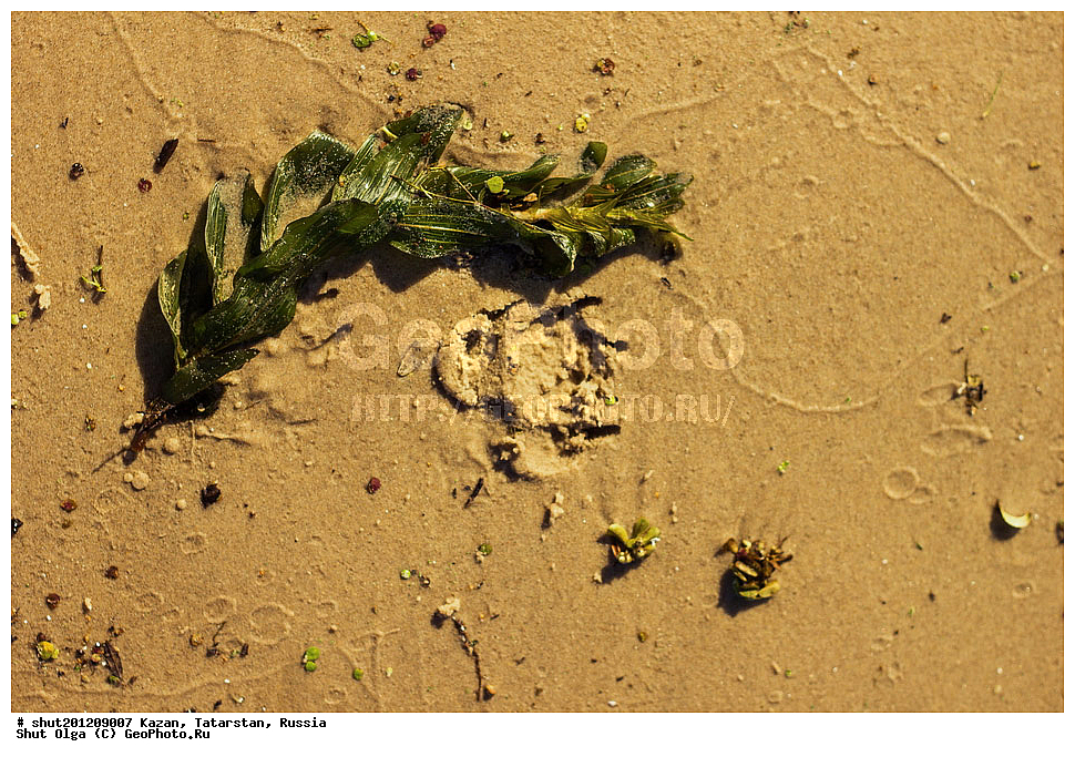 ������, ���������� ���������, ���������, ����, �����, �����, ������, ����, ������, ��������