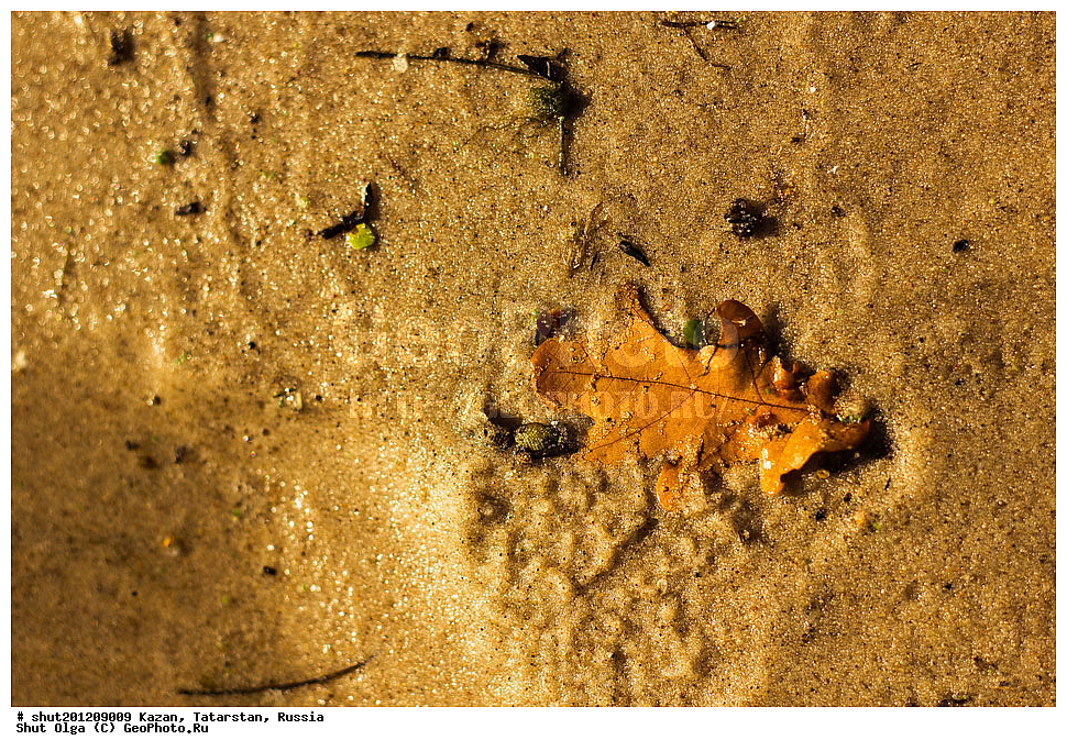 ������, ���������� ���������, ���������, ����, �����, �����, ������, ����, ������