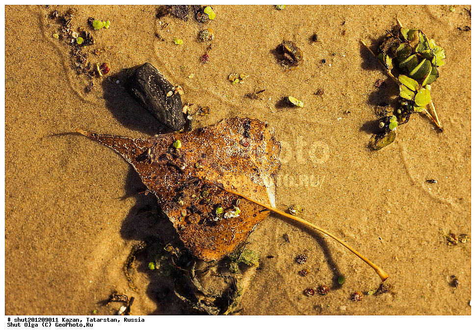 ������, ���������� ���������,���������, ����, �����, �����, ����, ����, ������, ����, ������, ��������