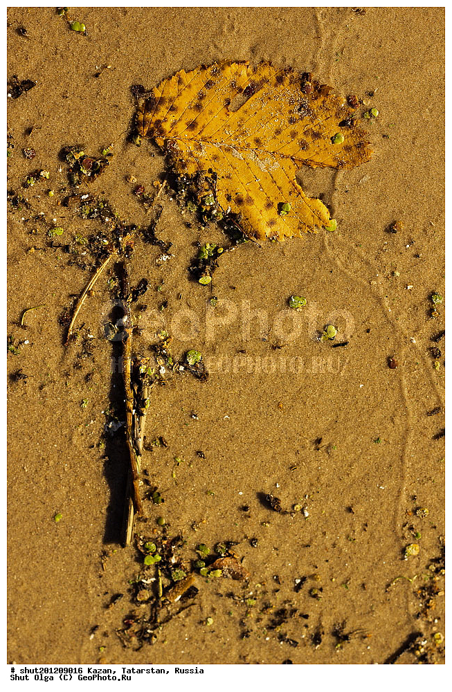 ������, ���������� ���������, ���������, ����, �����, �����, ������, ����, ������