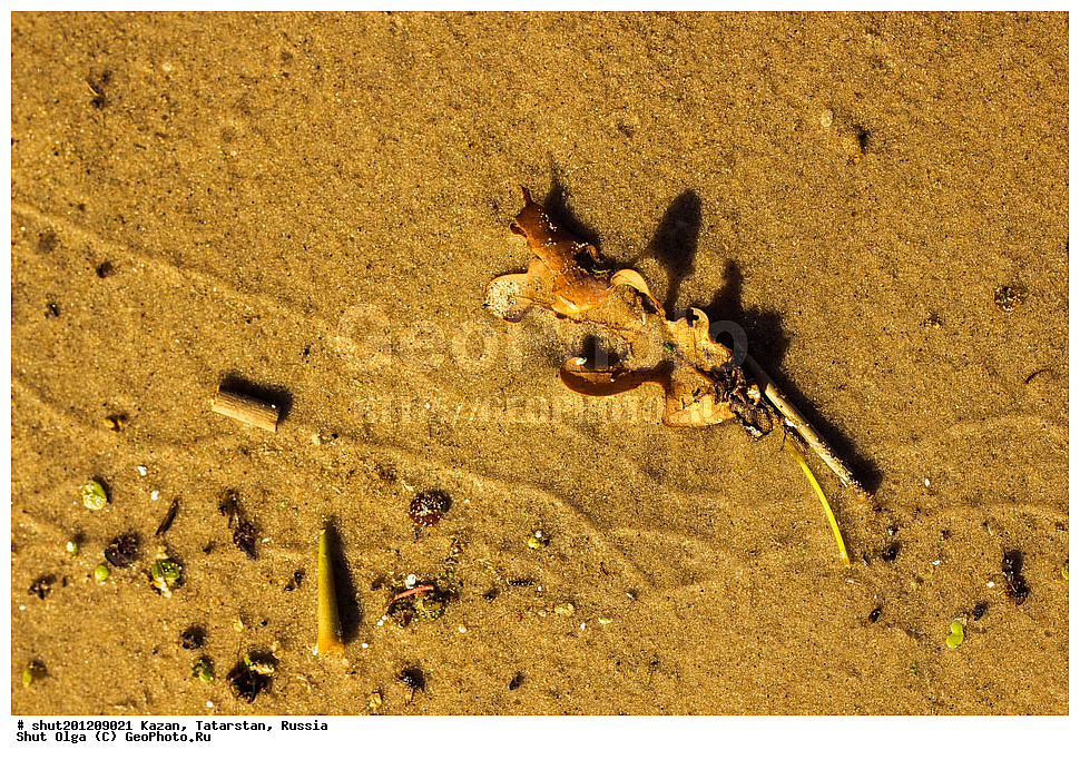 ������, ���������� ���������, ���������, ����, �����, �����, ������, ����, ������