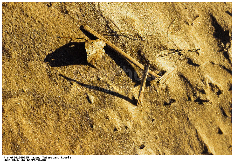 ������, ���������� ���������, ���������, ����, �����, ������, �����