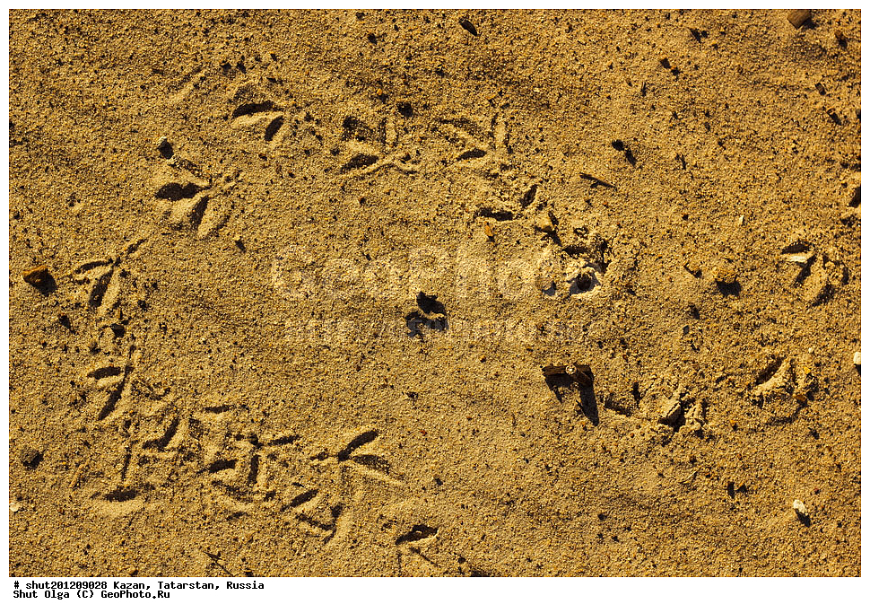 ������, ���������� ���������,���������, ����, �����, �����, ����, ����, ������, ����, �����