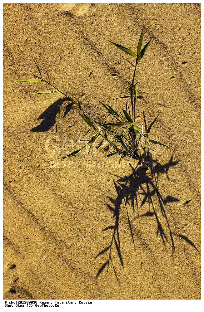 ������, ���������� ���������,���������, ����, �����, �����, ����, ����, ������, ������, ��������