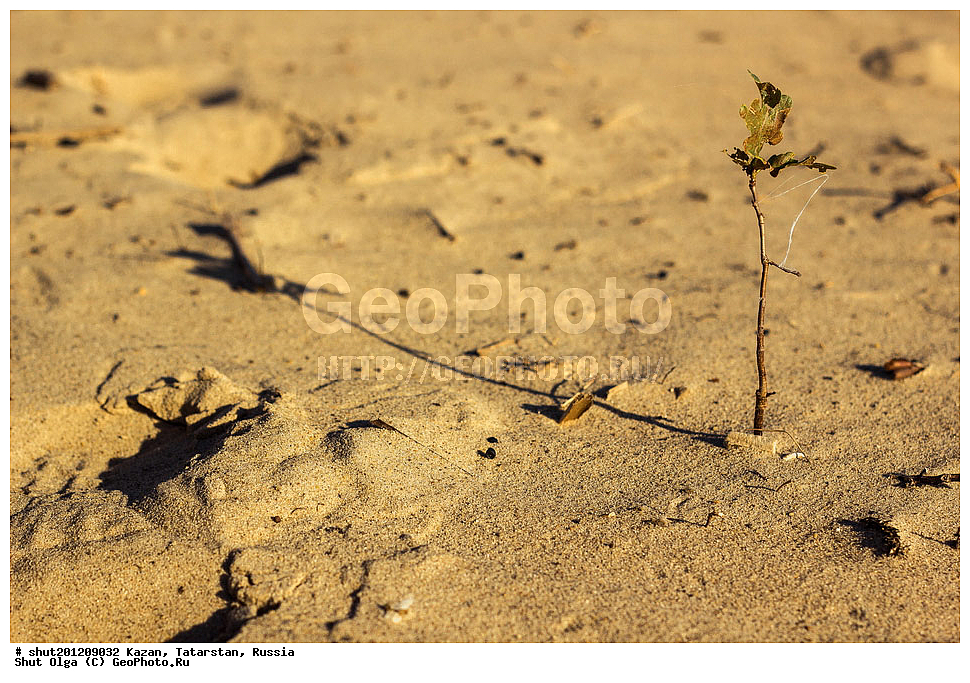 ������, ���������� ���������, ���������, ����, �����, �����, ��������, ������