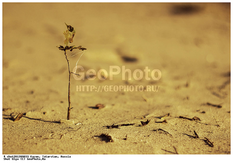 ������, ���������� ���������, ���������, ����, �����, �����, ������, ��������