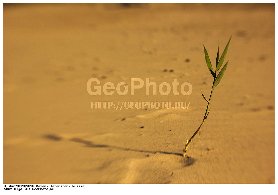 ������, ���������� ���������, ���������, ����, �����, �����, ��������