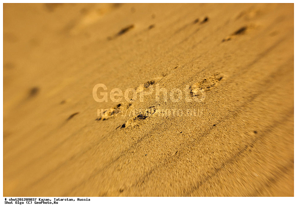 ������, ���������� ���������, ���������, ����, �����, �����, ������