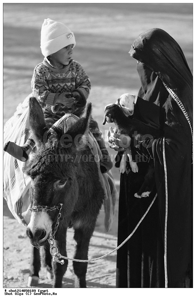 �������� ���������� ������, ������, �������, �������, ����, �������, ��������� �������, ���������, ����, ������