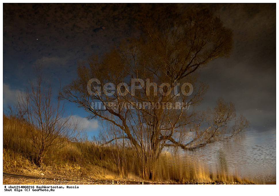 ����� ����, ���������� ������������, ��������, �����������, ����� ������, �����, ������, �������� �������, �����, ��������� ����� �����-������, �����-������