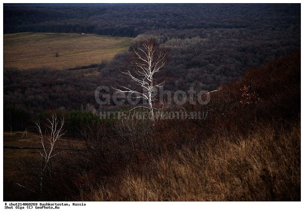 ����� ����, ���������� ������������, ��������, �����������, ����� ������, �����, ������, �������� �������, �����, ��������� ����� �����-������, �����-������, ������, �����