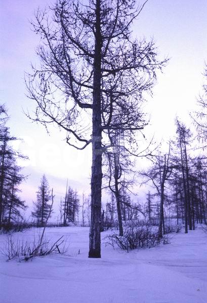 ���, �������, ����������, �����, �����, ������