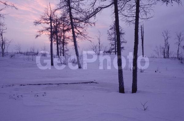 ���, �������, ����������, �����, �����, ������