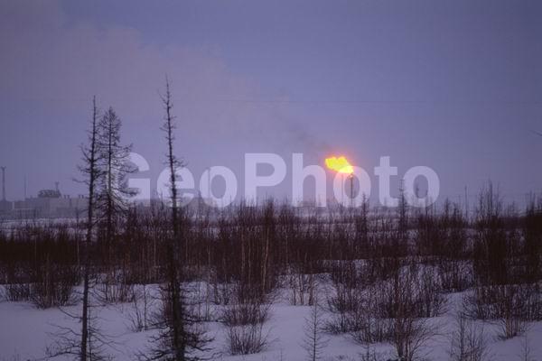 ���, �������, ����������, �����, �����, ������