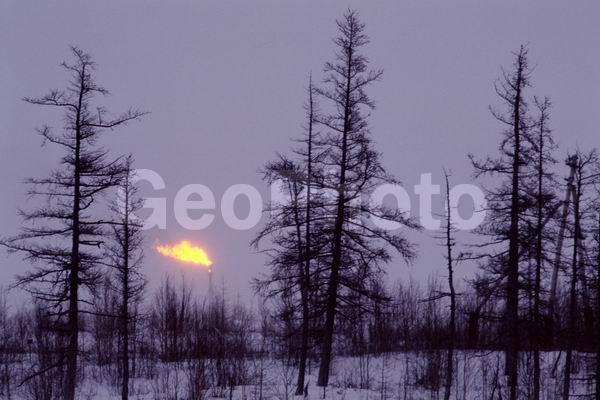 ���, �������, ����������, �����, �����, ������