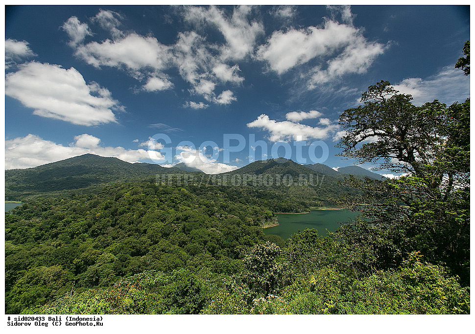 ����, ���������, ������, ����, �������