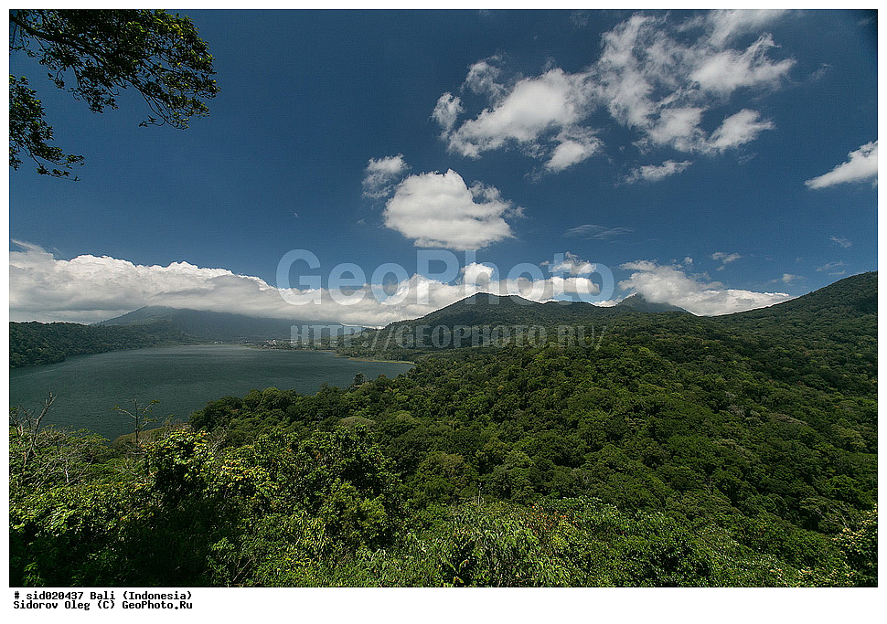 ����, ���������, ������, ����, �������