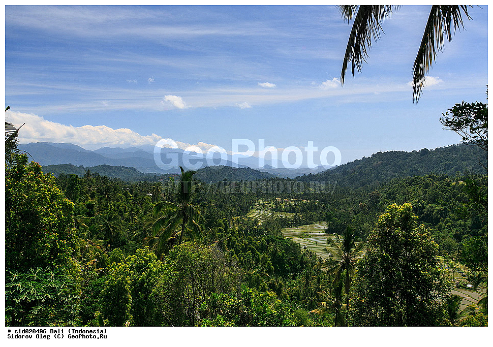 ����, ���������, ������, ����, �������