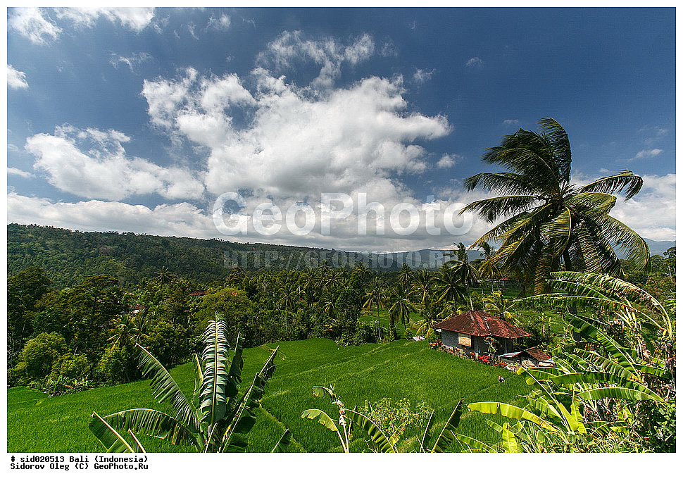 ����, ���������, ������, ����, �������