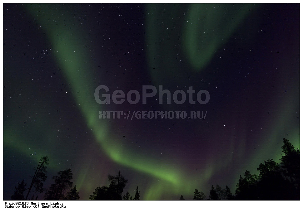 �������� ������, ����, ����, ������, �����