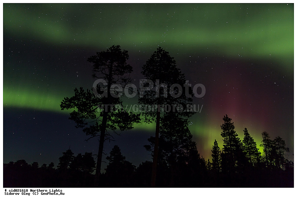 �������� ������, ����, ����, ������, �����