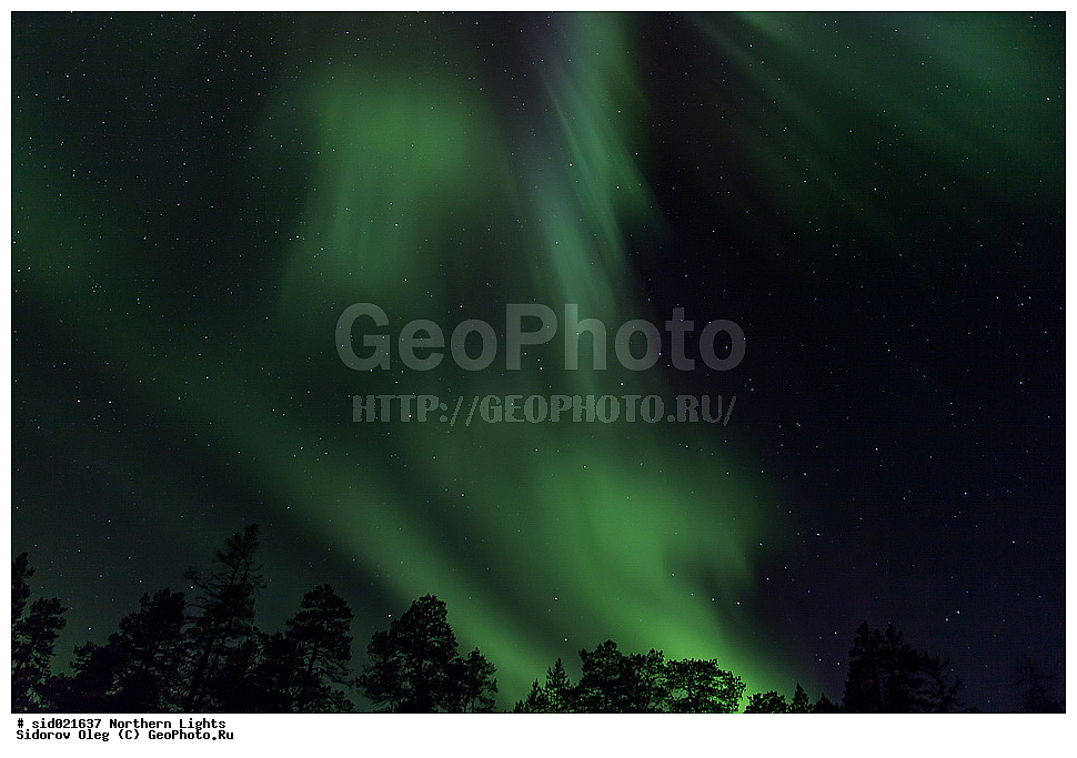 �������� ������, ����, ����, ������, �����