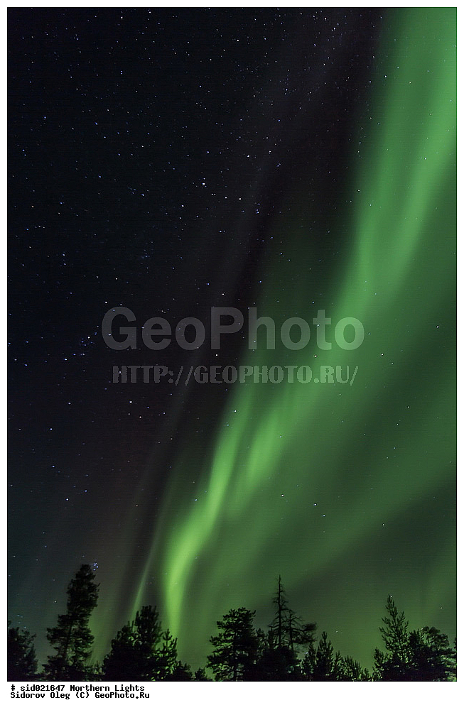 �������� ������, ����, ����, ������, �����