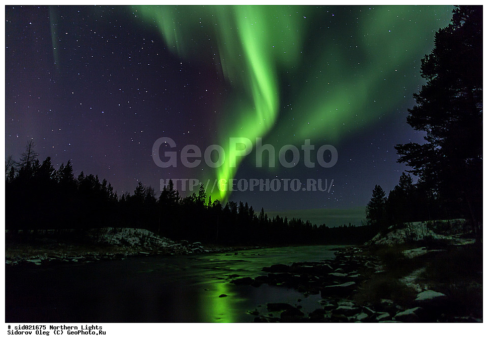 �������� ������, ����, ����, ������, �����