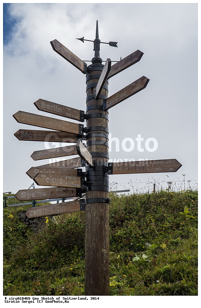 ���������, �����������, ��������, �����, ���������, ����, �����, ����-��-��, ������, ���������� �����