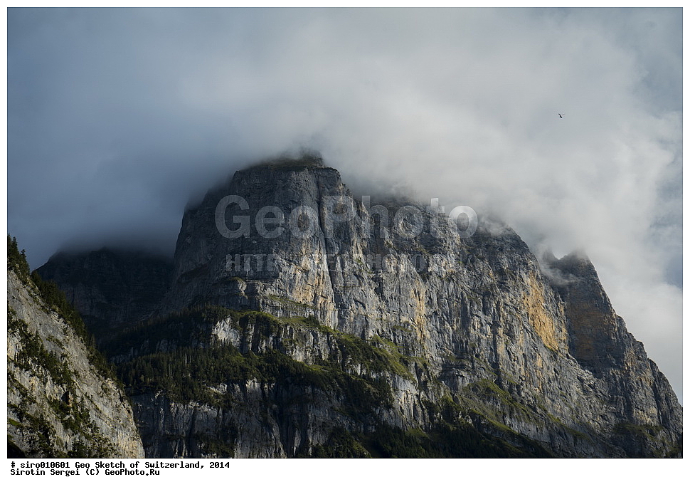 ���������, ��������, ������, ����, ����, �����