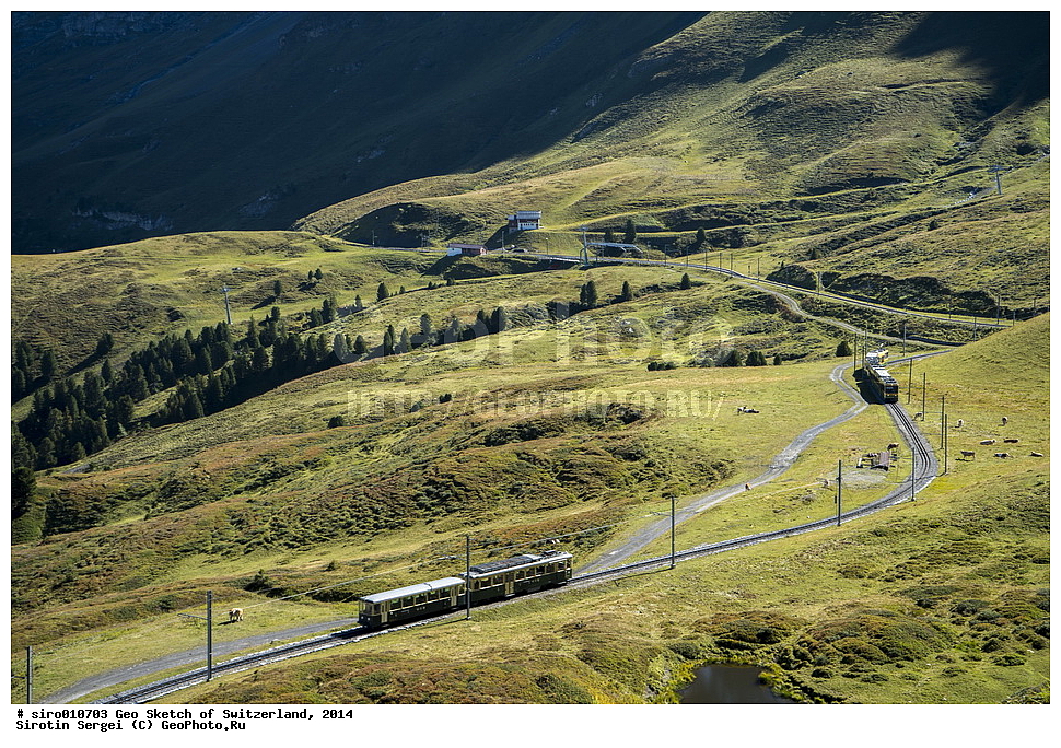 ���������, �����, �������� ������, ������, ���, ���