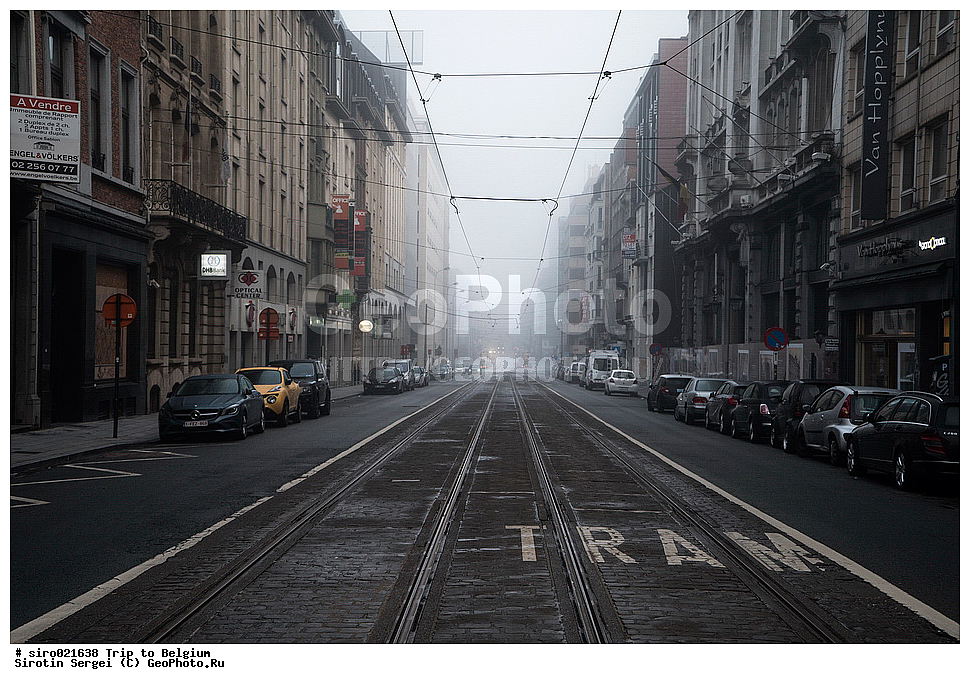 �������, �����������, ��������, �����, ��������, ������, �����, ���������� ����, ������, ����, �����