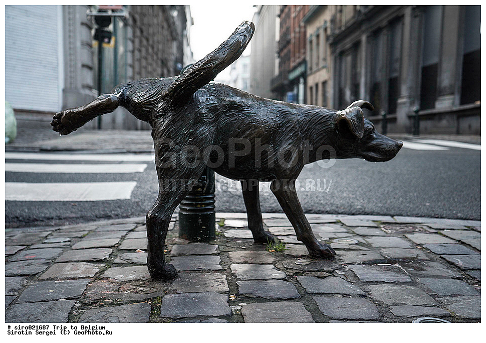 �������, �����������, ��������, �����, �����, ��������, �������� �������, ������, ��������, ������������ ��������� ������, ������, ���������������������