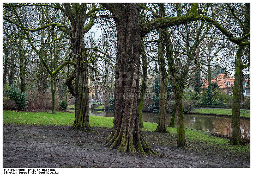 �������, �����������, ��������, �����, ������, ��������, �������� ��������, ����, ����������, ���� ����������, �����, ������, �������