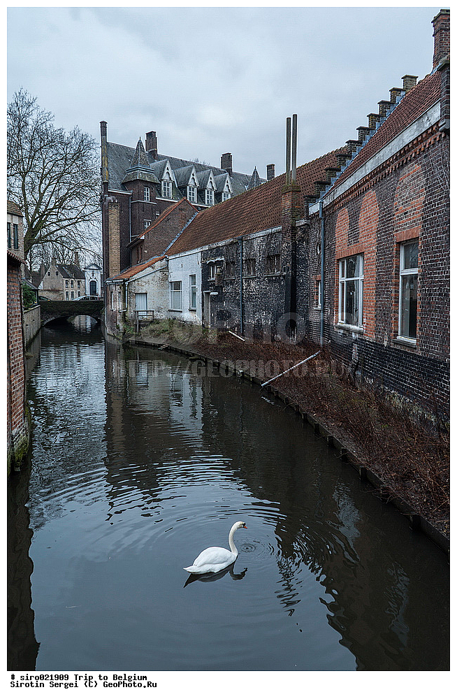 �������, �����������, ��������, �����, ������, �������� ��������, ��������, ������, �����, ����, ����